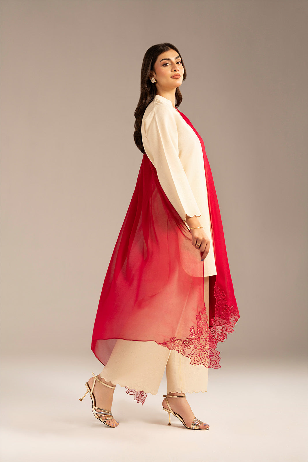 1 Piece Chiffon Embroidered Dupattas/Stoles (FD0068)