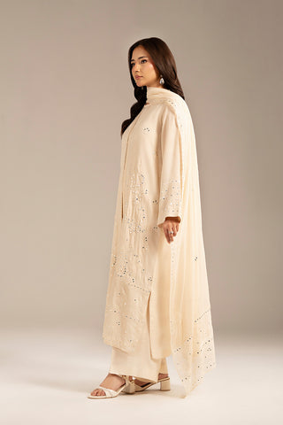 1 Piece Chiffon Embroidered Dupattas/Stoles (FD0069)