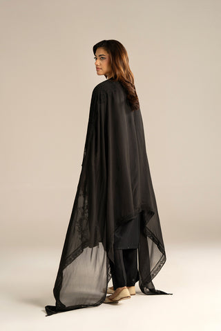 1 Piece Chiffon Embroidered Dupattas/Stoles (FD0077)