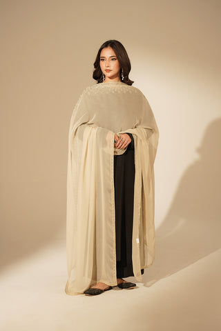 1 Piece Chiffon Embroidered Dupattas/Stoles (FD0080)