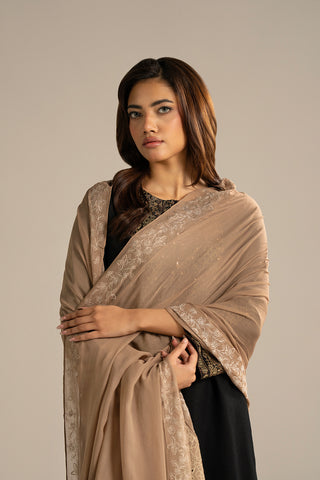 1 Piece Chiffon Embroidered Dupattas/Stoles (FD0081)