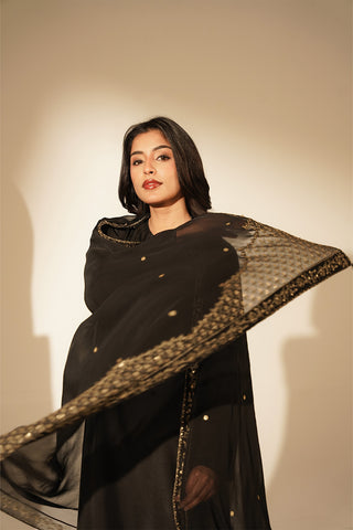 1 Piece Chiffon Embroidered Dupattas/Stoles (FD0082)