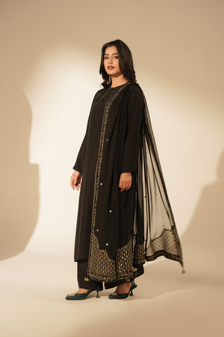 1 Piece Chiffon Embroidered Dupattas/Stoles (FD0082)