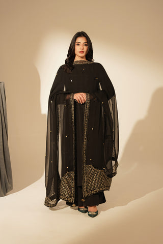 1 Piece Chiffon Embroidered Dupattas/Stoles (FD0082)