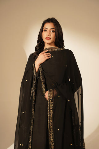 1 Piece Chiffon Embroidered Dupattas/Stoles (FD0082)