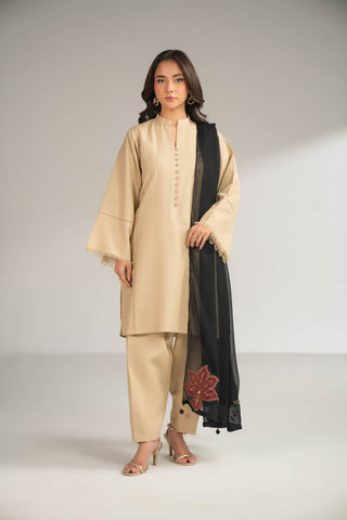 1 Piece Chiffon Embroidered Dupattas/Stoles (FD0085)