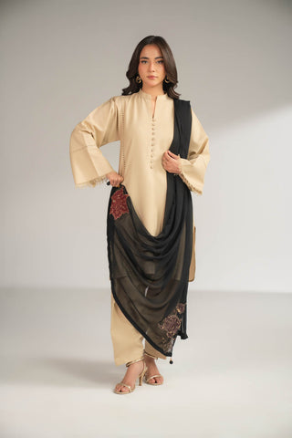 1 Piece Chiffon Embroidered Dupattas/Stoles (FD0085)