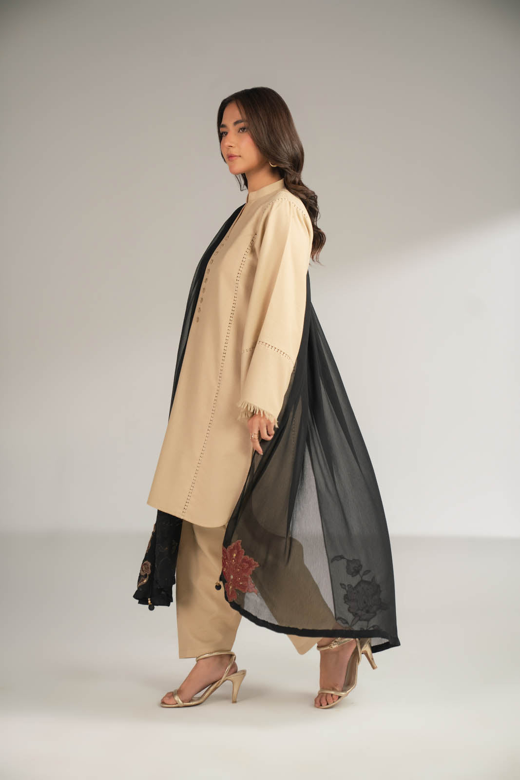 1 Piece Chiffon Embroidered Dupattas/Stoles (FD0085)