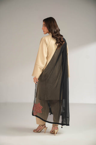 1 Piece Chiffon Embroidered Dupattas/Stoles (FD0085)