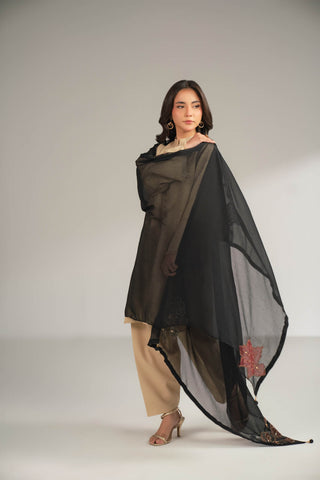 1 Piece Chiffon Embroidered Dupattas/Stoles (FD0085)