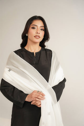 1 Piece Chiffon Embroidered Dupatta (FD0087)