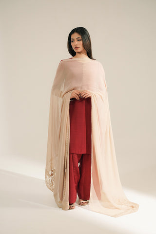 1 Piece Chiffon Embroidered Dupattas/Stoles (FD0094)