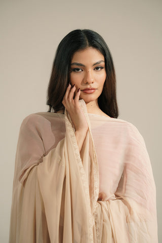 1 Piece Chiffon Embroidered Dupattas/Stoles (FD0094)