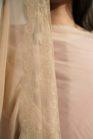 1 Piece Chiffon Embroidered Dupattas/Stoles (FD0094)