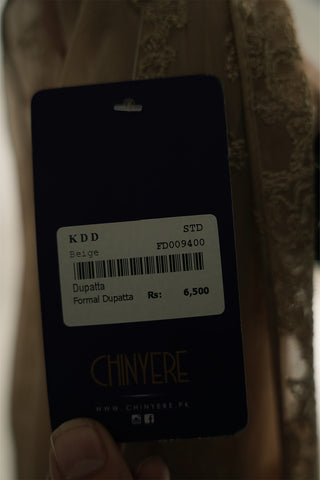 1 Piece Chiffon Embroidered Dupattas/Stoles (FD0094)