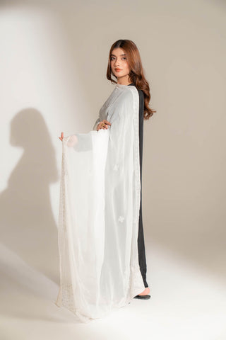 1 Piece Chiffon Embroidered Dupatta (FD0096)