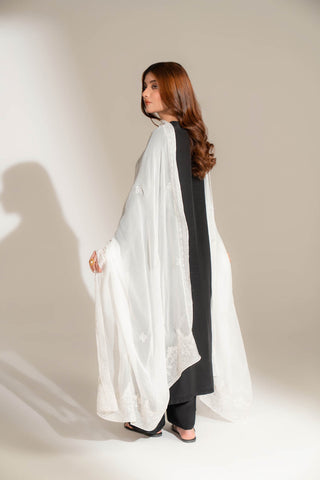 1 Piece Chiffon Embroidered Dupatta (FD0096)