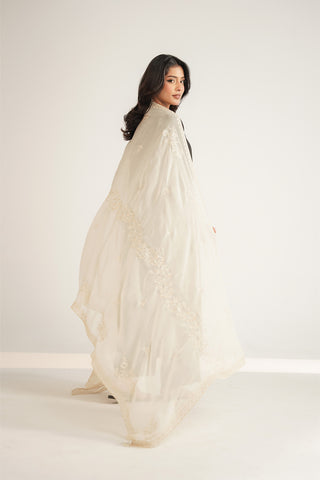 1 Piece Chiffon Embroidered Dupatta (FD0098)