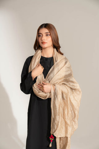 1 Piece Tissue Zari Solid Dupatta (FD0104)