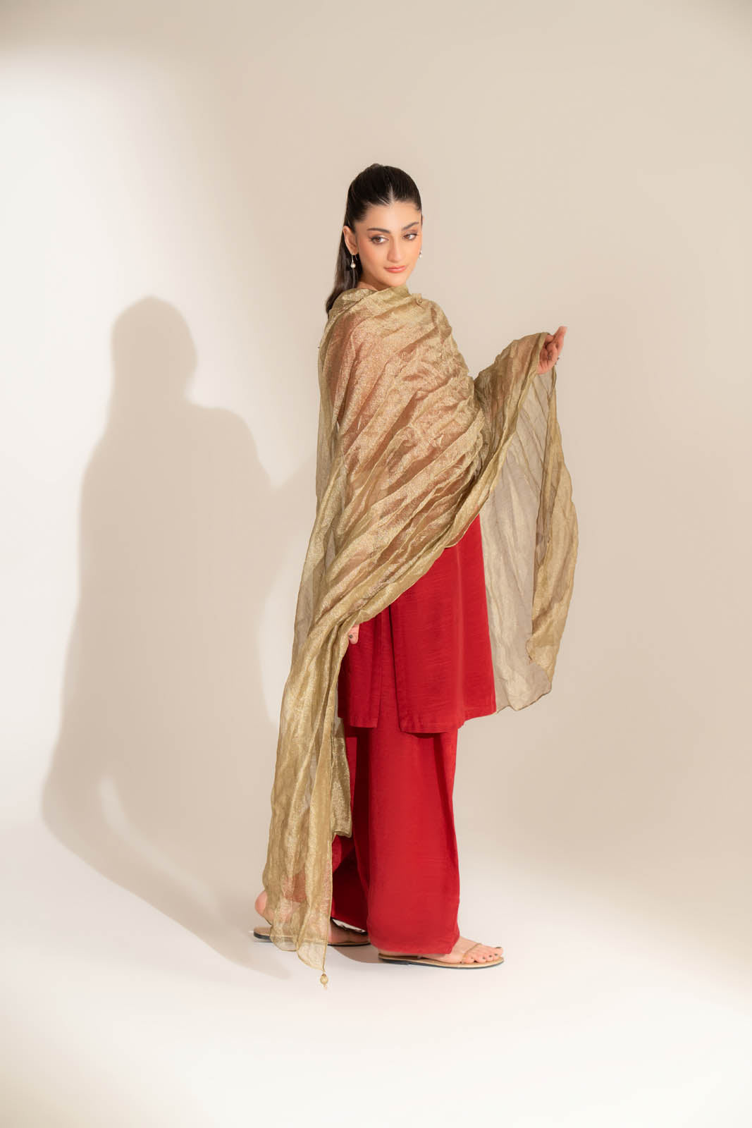 1 Piece Tissue Zari Solid Dupatta (FD0105)