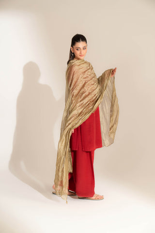 1 Piece Tissue Zari Solid Dupatta (FD0105)