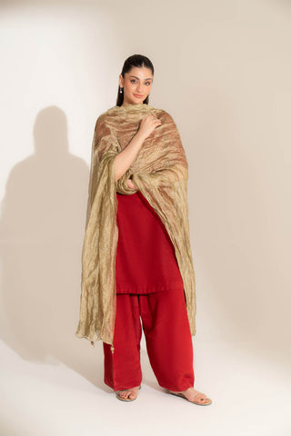1 Piece Tissue Zari Solid Dupatta (FD0105)