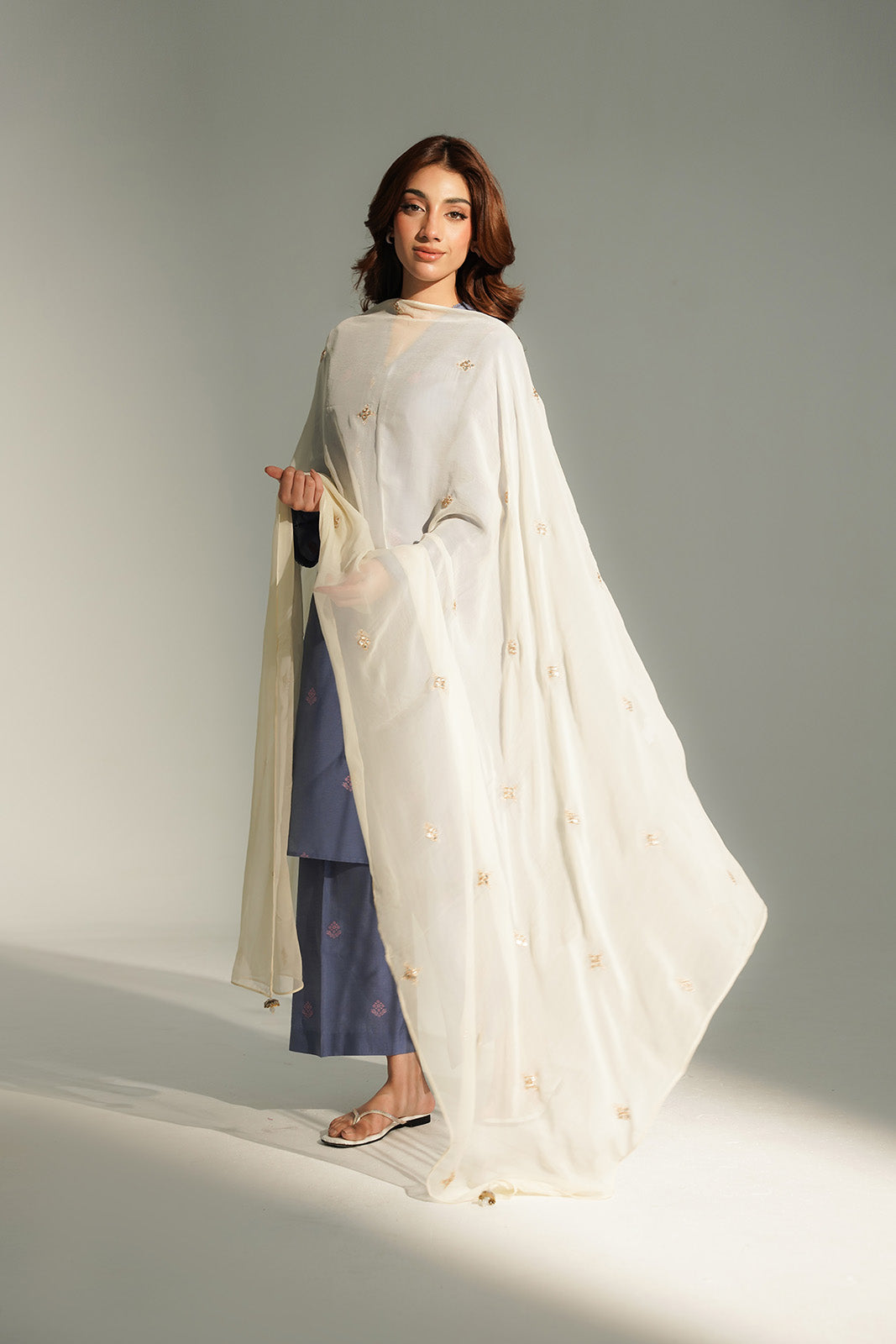 1 Piece Chiffon Embroidered Dupatta (FD0111)
