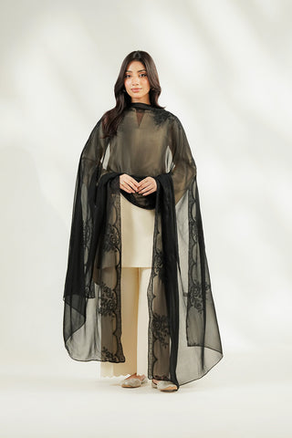 1 Piece Chiffon Embroidered Dupatta (FD0149)