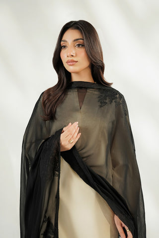 1 Piece Chiffon Embroidered Dupatta (FD0149)