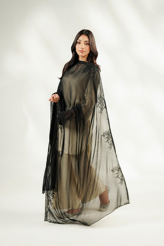 1 Piece Chiffon Embroidered Dupatta (FD0149)