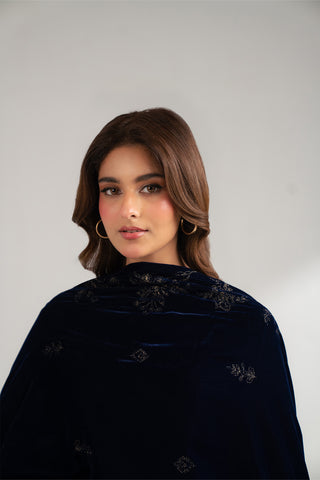 1 Piece Micro Velvet Embroidered Shawls (FG0003)