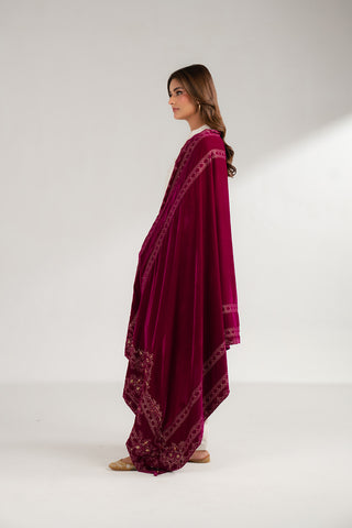 1 Piece Velvet Embroidered (FG0004)