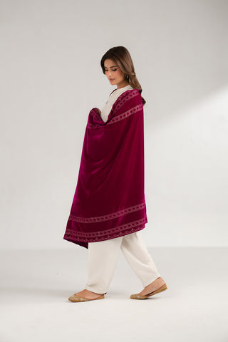 1 Piece Velvet Embroidered (FG0004)