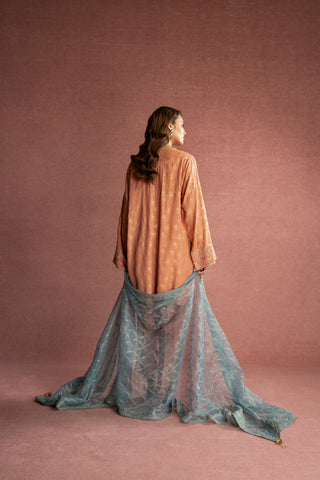 1 Piece Net Embroidered (FH0003)