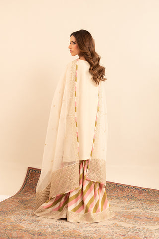 3 Piece  Silk Embroidered (FL0019)