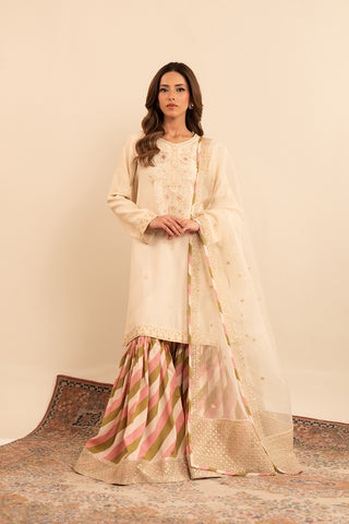 3 Piece  Silk Embroidered (FL0019)