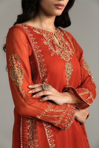 3 Piece Chiffon Embroidered Suit (FL0023)