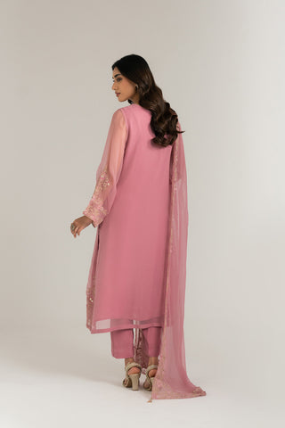 3 Piece Chiffon Embroidered Suit (FL0030)