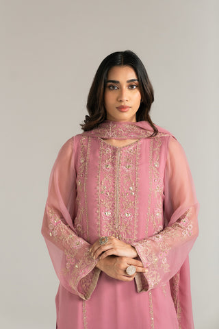 3 Piece Chiffon Embroidered Suit (FL0030)