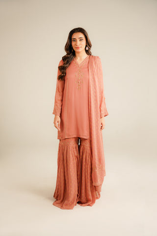 3 Piece Chiffon Embroidered Suit (FL0032)