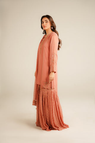 3 Piece Chiffon Embroidered Suit (FL0032)