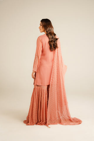 3 Piece Chiffon Embroidered Suit (FL0032)