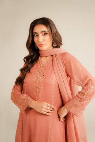 3 Piece Chiffon Embroidered Suit (FL0032)
