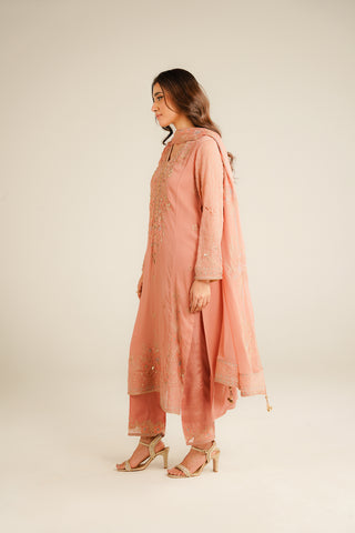 3 Piece Chiffon Embroidered Suit (FL0033)