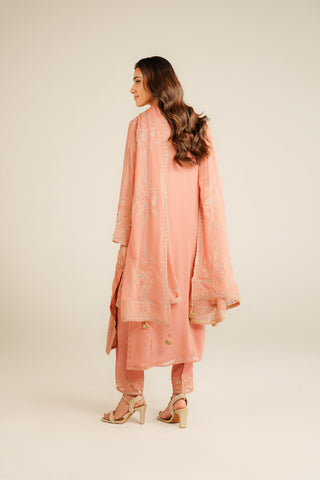 3 Piece Chiffon Embroidered Suit (FL0033)
