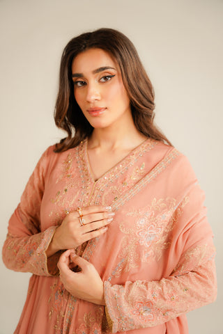 3 Piece Chiffon Embroidered Suit (FL0033)