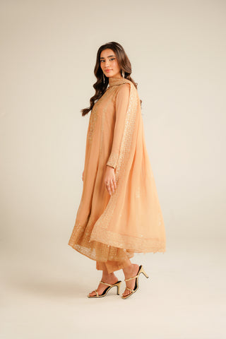 3 Piece Chiffon Embroidered Suit (FL0034)