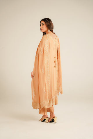 3 Piece Chiffon Embroidered Suit (FL0034)