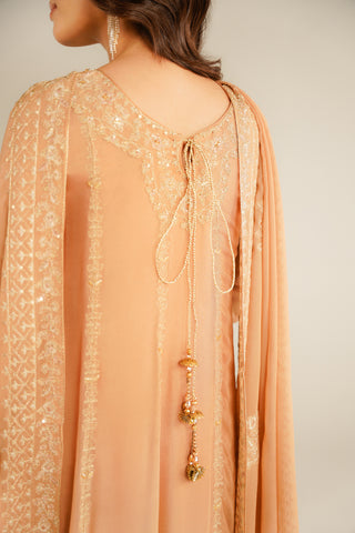 3 Piece Chiffon Embroidered Suit (FL0034)