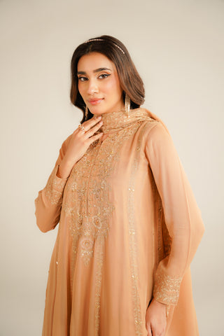 3 Piece Chiffon Embroidered Suit (FL0034)